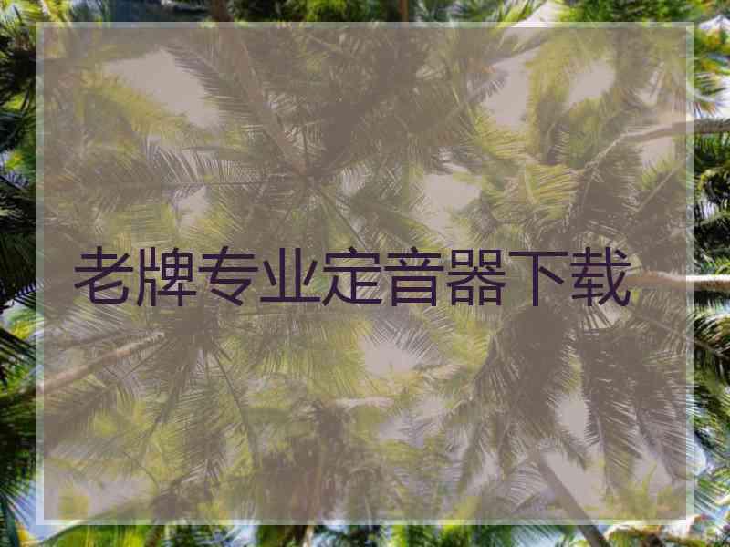 老牌专业定音器下载