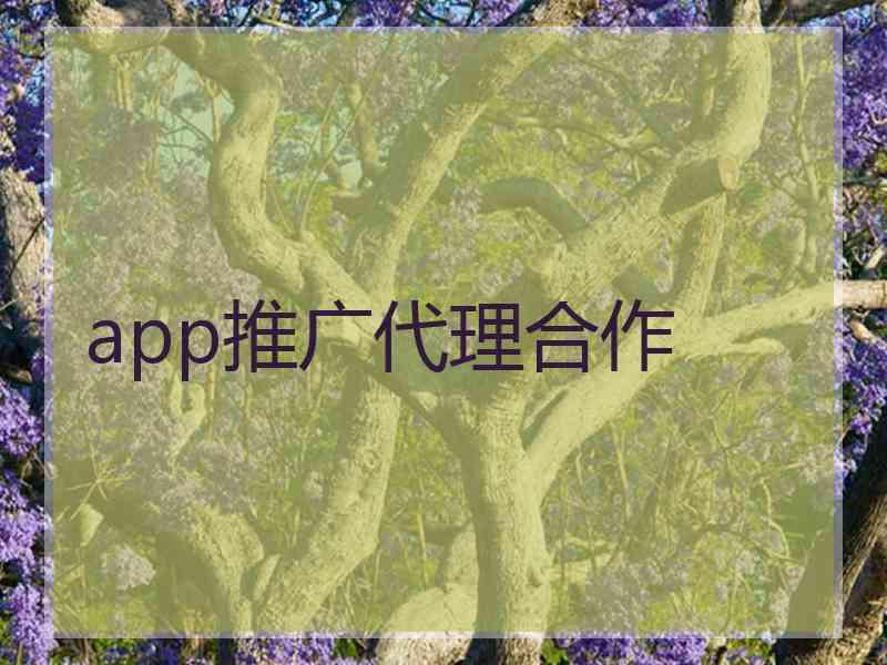 app推广代理合作