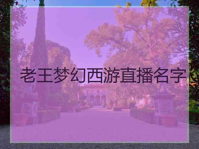 老王梦幻西游直播名字