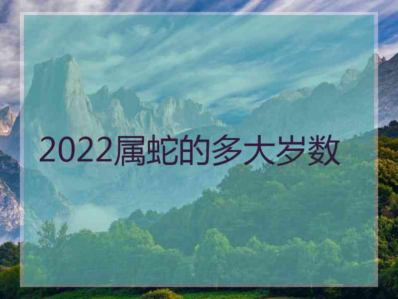 2022属蛇的多大岁数