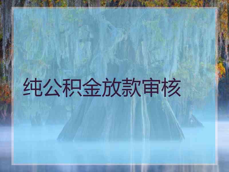 纯公积金放款审核