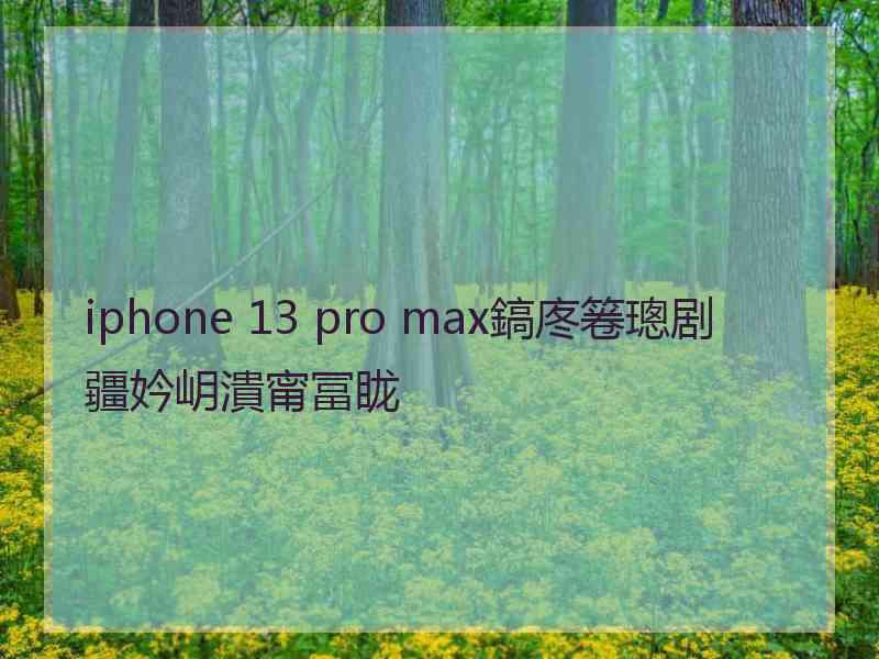 iphone 13 pro max鎬庝箞璁剧疆妗岄潰甯冨眬