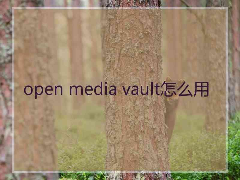 open media vault怎么用