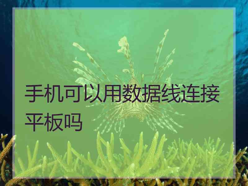 手机可以用数据线连接平板吗