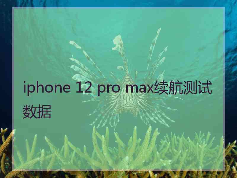 iphone 12 pro max续航测试数据