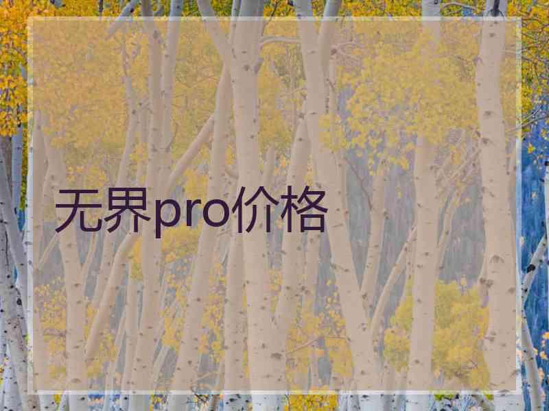 无界pro价格