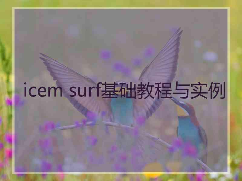 icem surf基础教程与实例