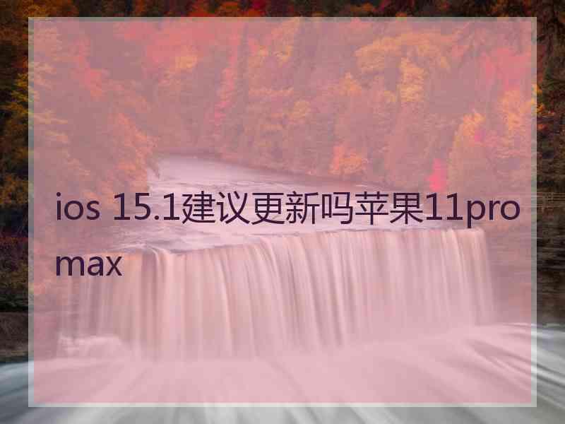 ios 15.1建议更新吗苹果11promax