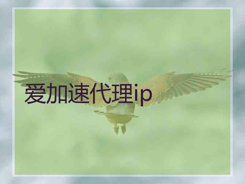 爱加速代理ip