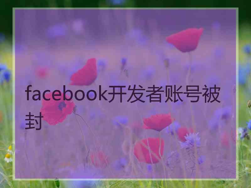 facebook开发者账号被封