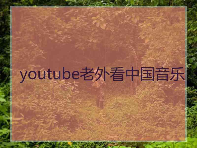 youtube老外看中国音乐