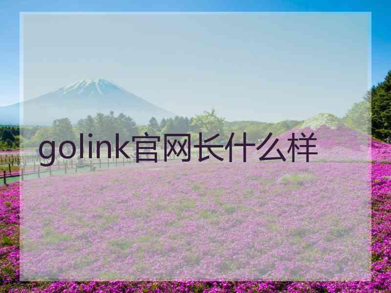 golink官网长什么样