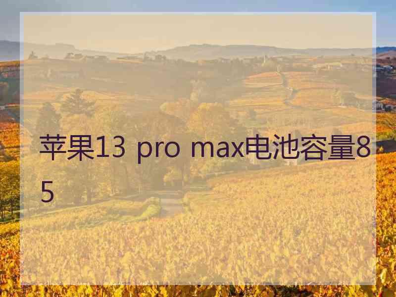 苹果13 pro max电池容量85