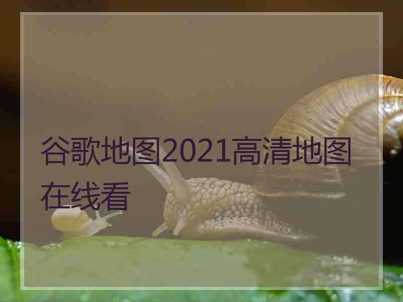 谷歌地图2021高清地图在线看