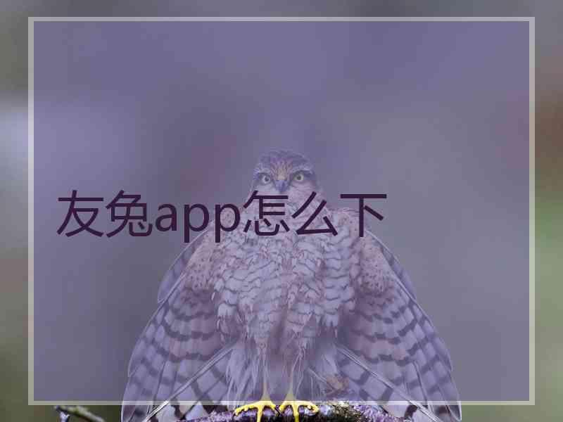 友兔app怎么下