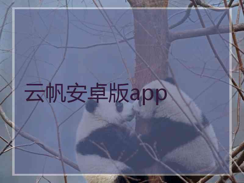 云帆安卓版app