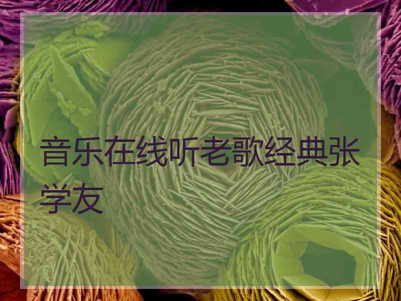 音乐在线听老歌经典张学友