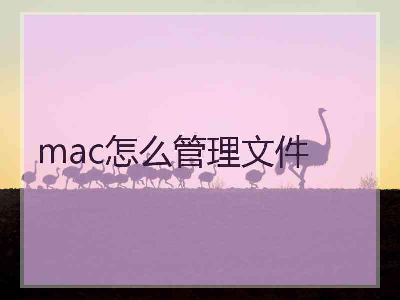 mac怎么管理文件