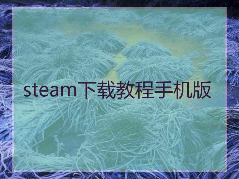 steam下载教程手机版