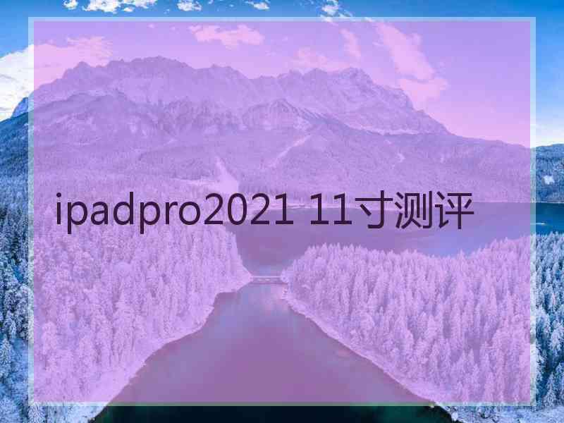 ipadpro2021 11寸测评