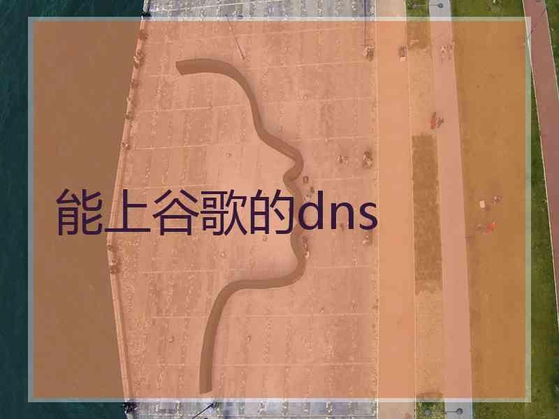 能上谷歌的dns