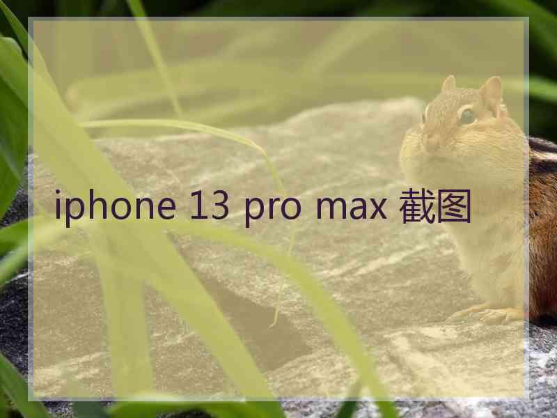 iphone 13 pro max 截图