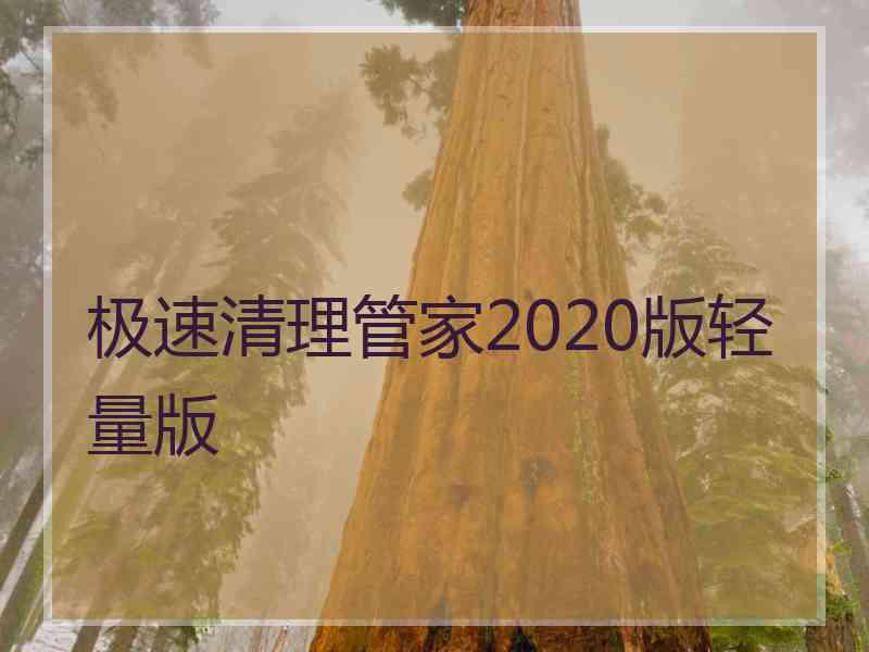 极速清理管家2020版轻量版