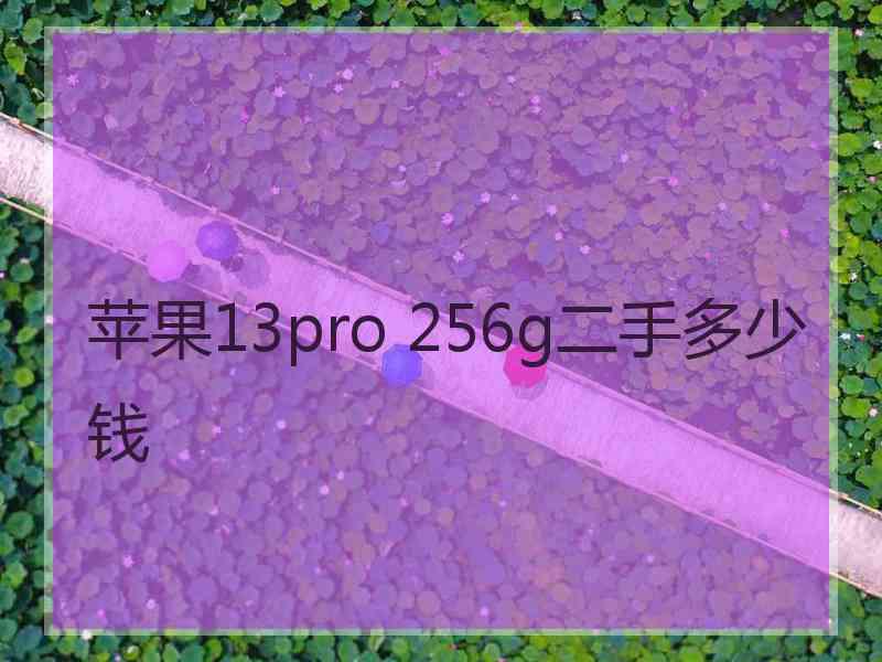 苹果13pro 256g二手多少钱