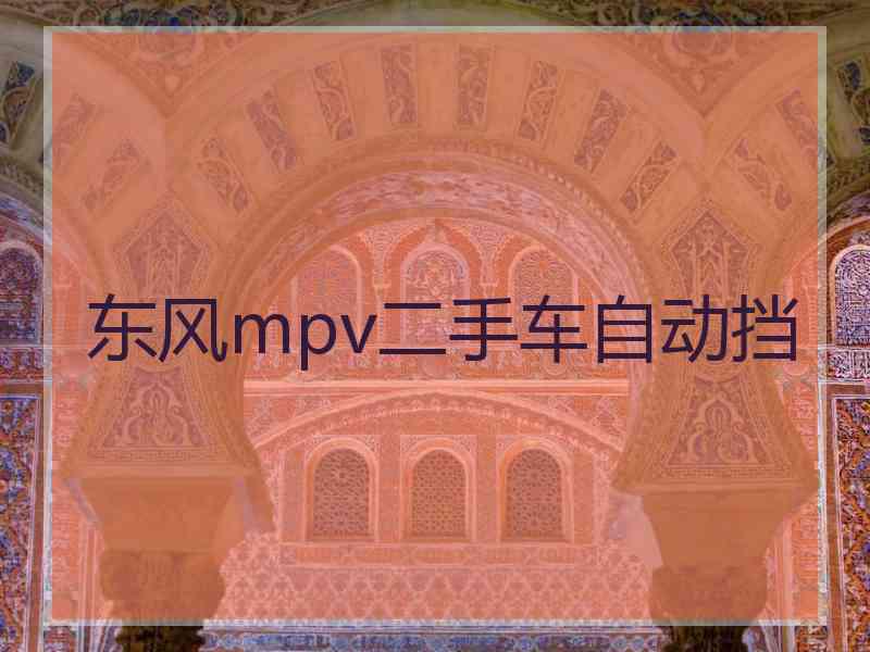 东风mpv二手车自动挡