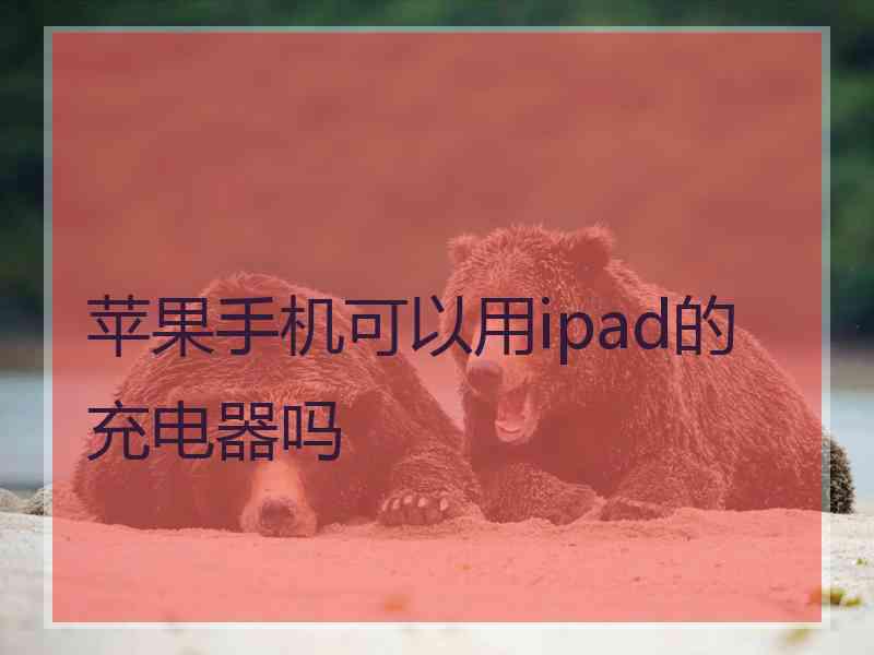 苹果手机可以用ipad的充电器吗