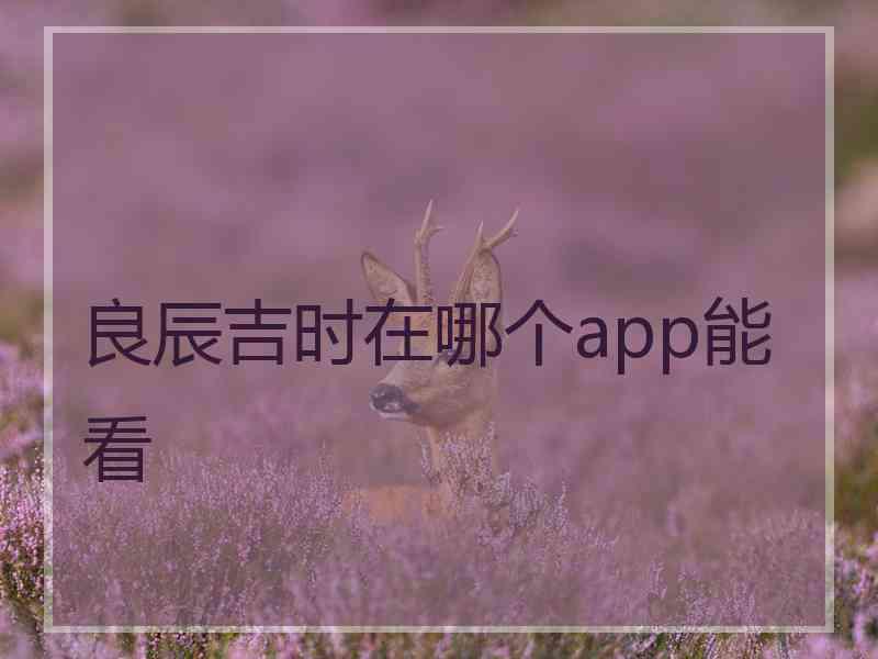 良辰吉时在哪个app能看