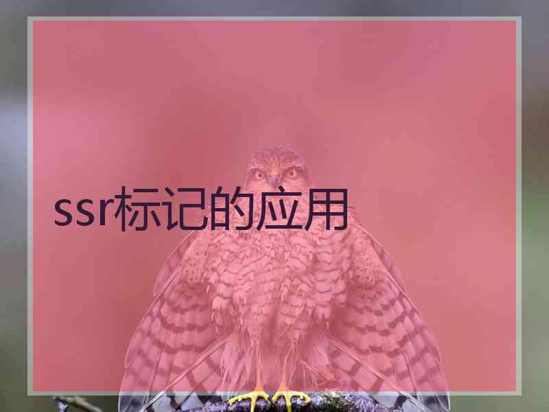 ssr标记的应用