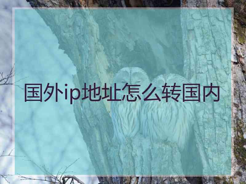 国外ip地址怎么转国内