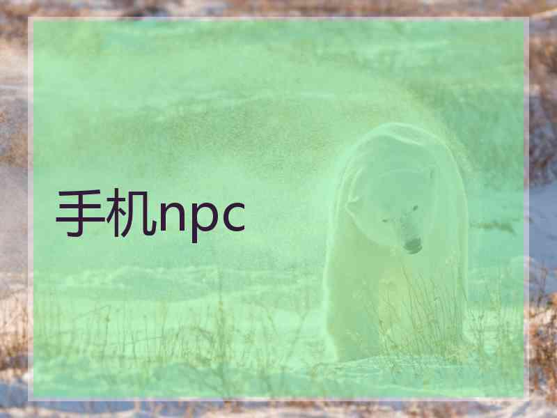 手机npc