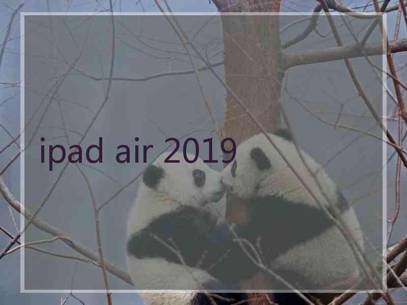 ipad air 2019