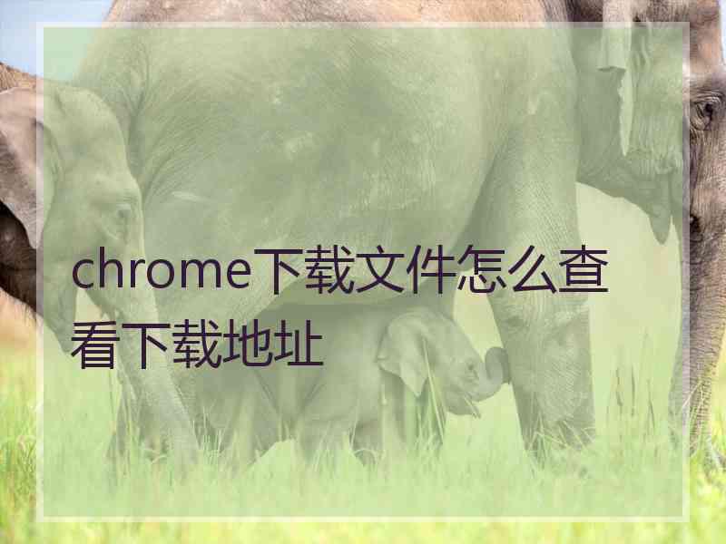 chrome下载文件怎么查看下载地址