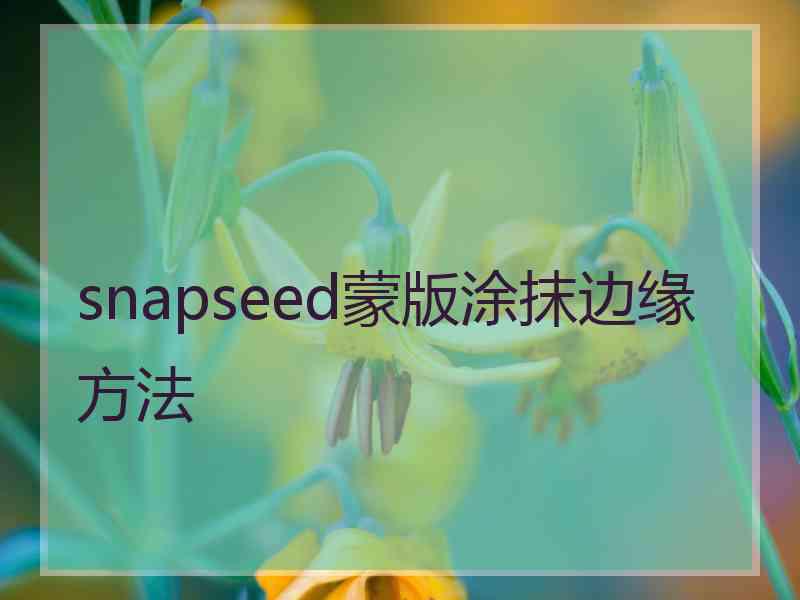 snapseed蒙版涂抹边缘方法