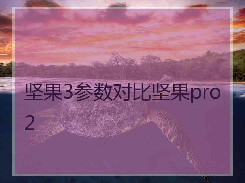 坚果3参数对比坚果pro2