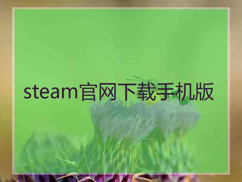 steam官网下载手机版