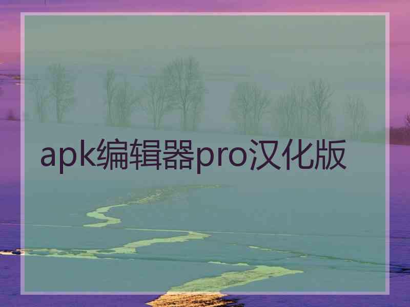 apk编辑器pro汉化版