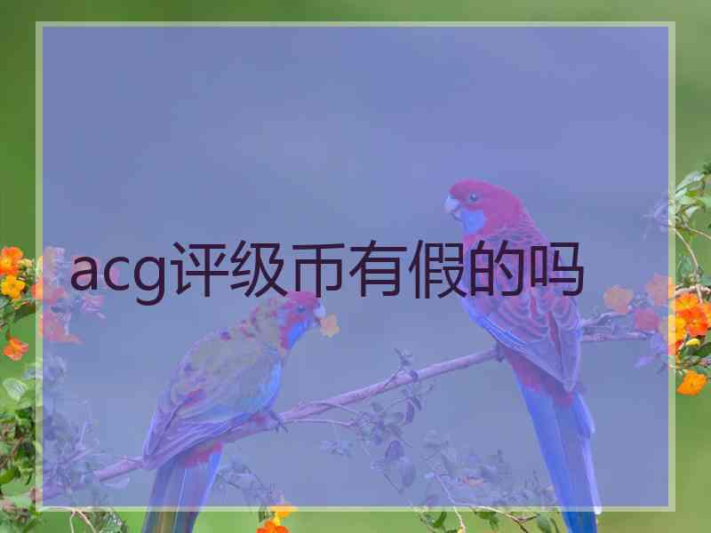 acg评级币有假的吗