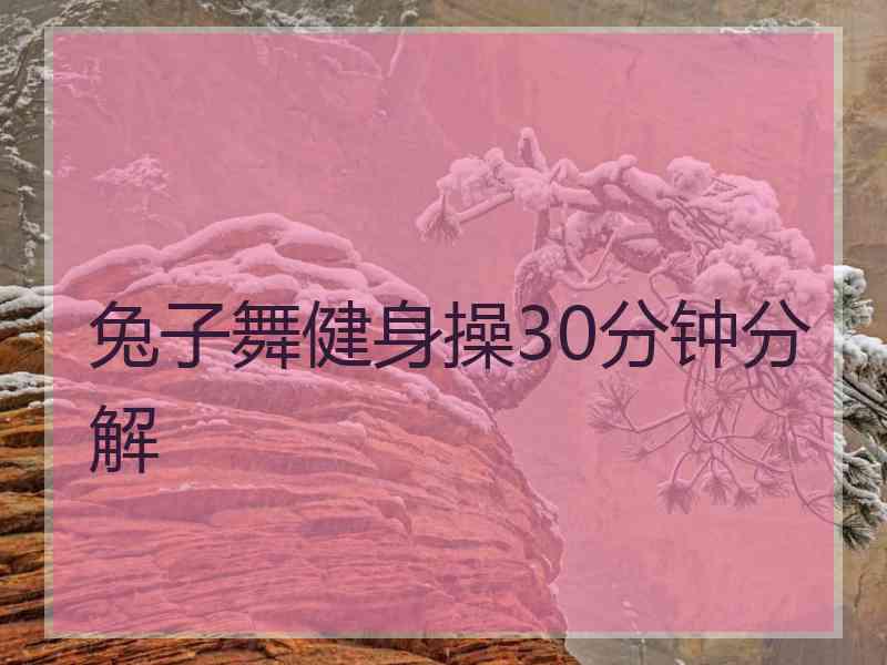 兔子舞健身操30分钟分解