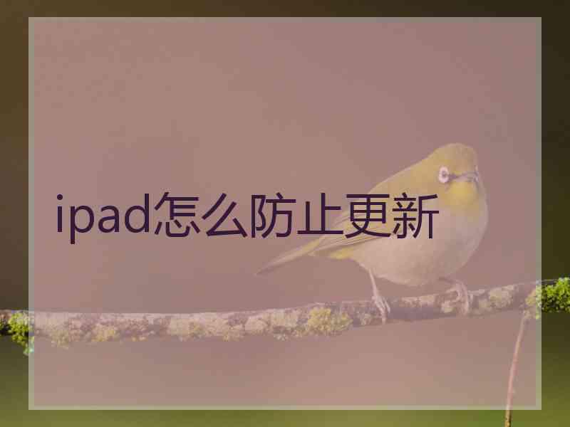 ipad怎么防止更新