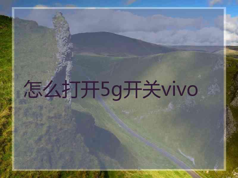 怎么打开5g开关vivo