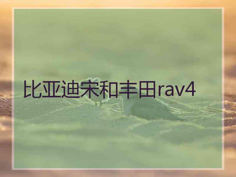 比亚迪宋和丰田rav4