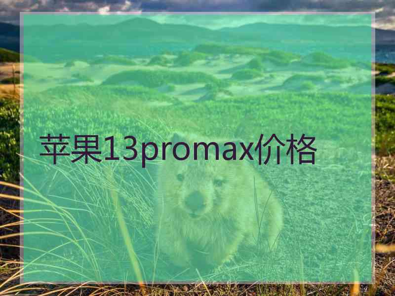 苹果13promax价格