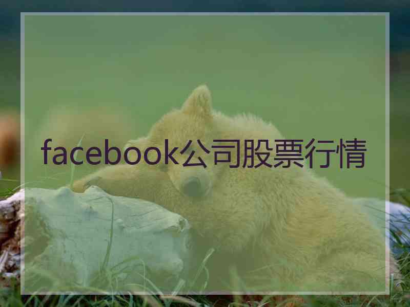 facebook公司股票行情