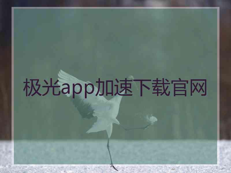 极光app加速下载官网