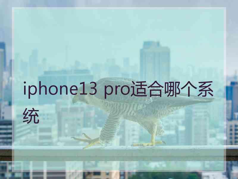 iphone13 pro适合哪个系统