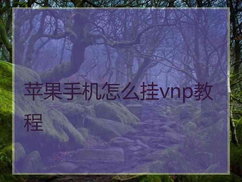 苹果手机怎么挂vnp教程